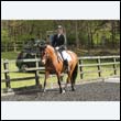durdress22_0221