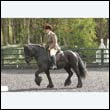 durdress22_0224