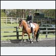 durdress22_0225