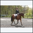 durdress22_0231