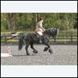 durdress22_0232
