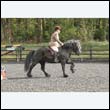 durdress22_0233