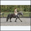 durdress22_0234