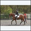 durdress22_0235