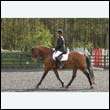 durdress22_0236