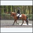 durdress22_0237