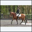 durdress22_0238