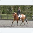 durdress22_0239