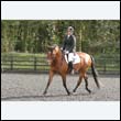 durdress22_0240