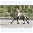 durdress22_0242