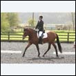 durdress22_0244