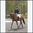 durdress22_0245