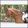 durdress22_0246