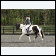 durdress22_0247