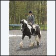 durdress22_0249