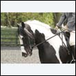 durdress22_0250