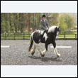 durdress22_0251