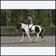 durdress22_0252