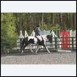 durdress22_0253