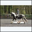 durdress22_0254