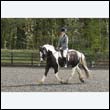 durdress22_0255