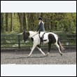 durdress22_0256