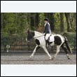 durdress22_0257