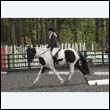 durdress22_0259