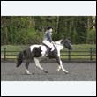 durdress22_0260