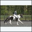 durdress22_0261