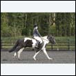 durdress22_0262