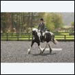 durdress22_0263