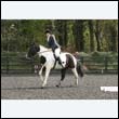 durdress22_0264