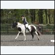 durdress22_0265