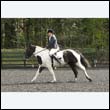 durdress22_0266