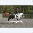 durdress22_0267
