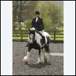 durdress22_0268