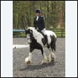 durdress22_0269