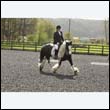 durdress22_0271
