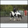 durdress22_0272