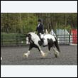 durdress22_0273