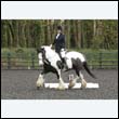 durdress22_0274