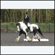 durdress22_0275