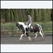 durdress22_0276