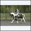durdress22_0278