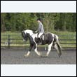 durdress22_0279