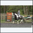 durdress22_0282