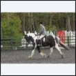 durdress22_0284