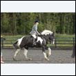 durdress22_0285
