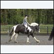 durdress22_0286